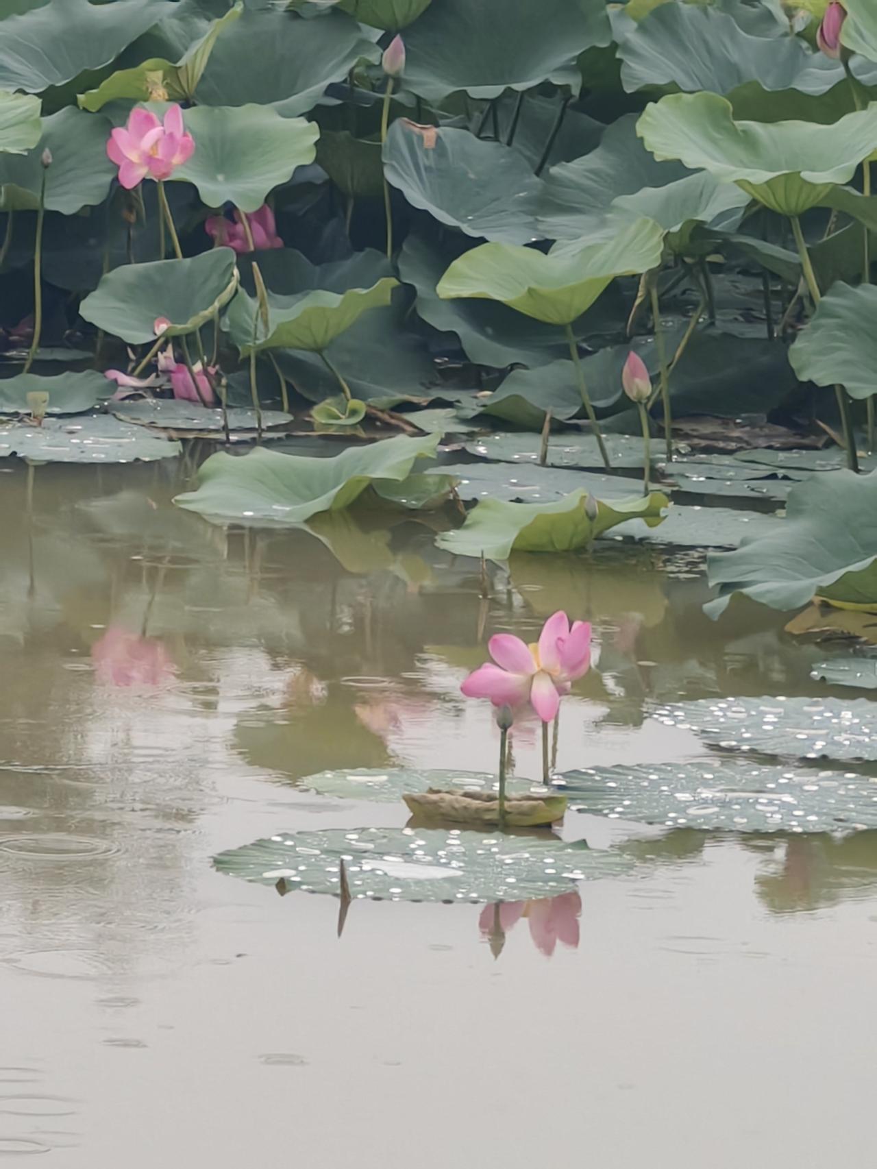 企业文化是做不是说，这是我们一直强调的问题。
关于员工压力、公开监督等，作业区有