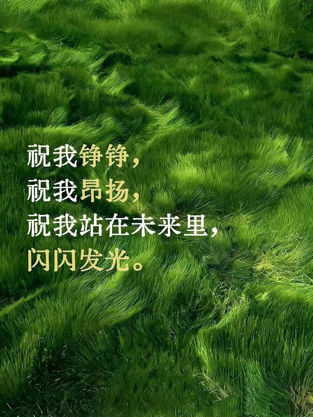 “成年人过生日，不说生日快乐。” 
