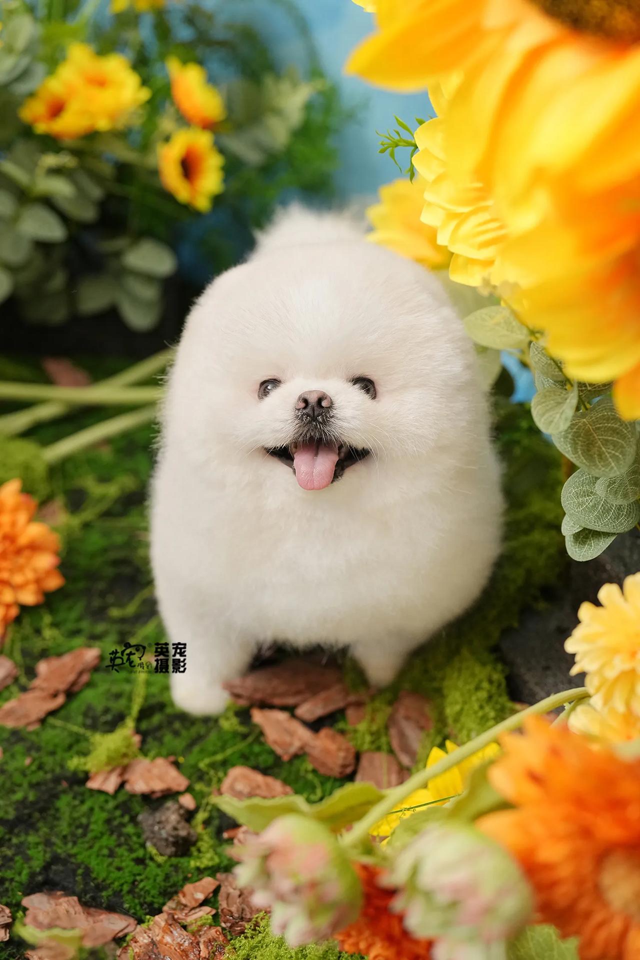 每个小朋友都需要“向阳而生”！🥰