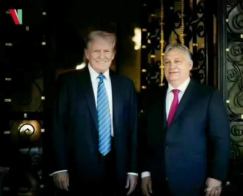 特朗普称，他曾向欧尔班请教俄乌问题。
他问欧尔班，俄罗斯会不会被乌克兰打败。欧尔
