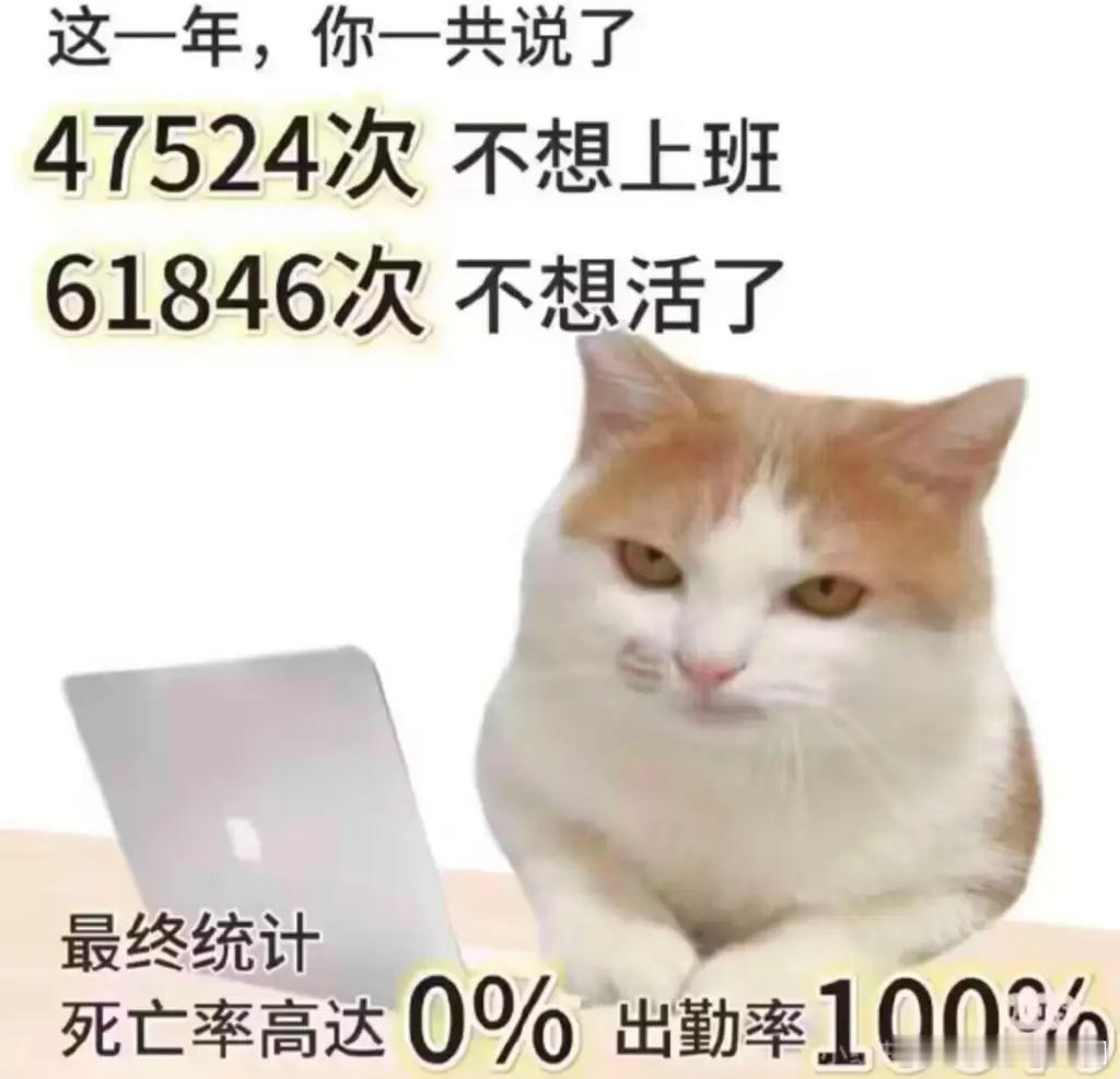 张韶涵回应裁员裁到大动脉又是无辜的承重墙 