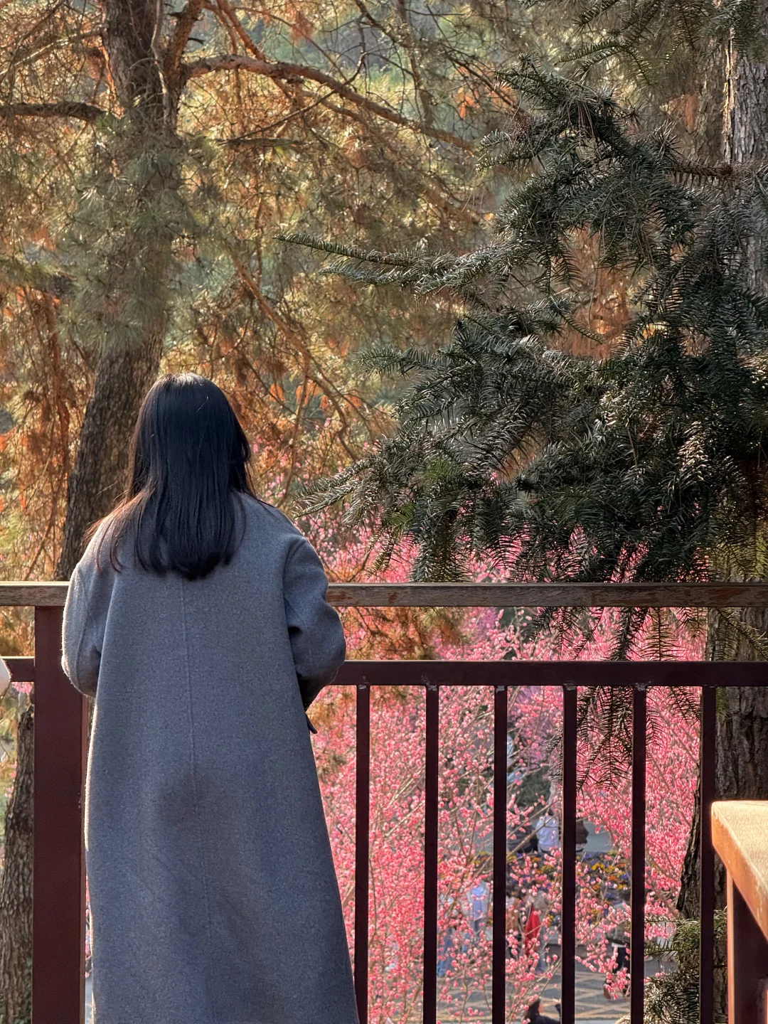 贵阳市区！周末拍春景好去处！美晕（附好机位