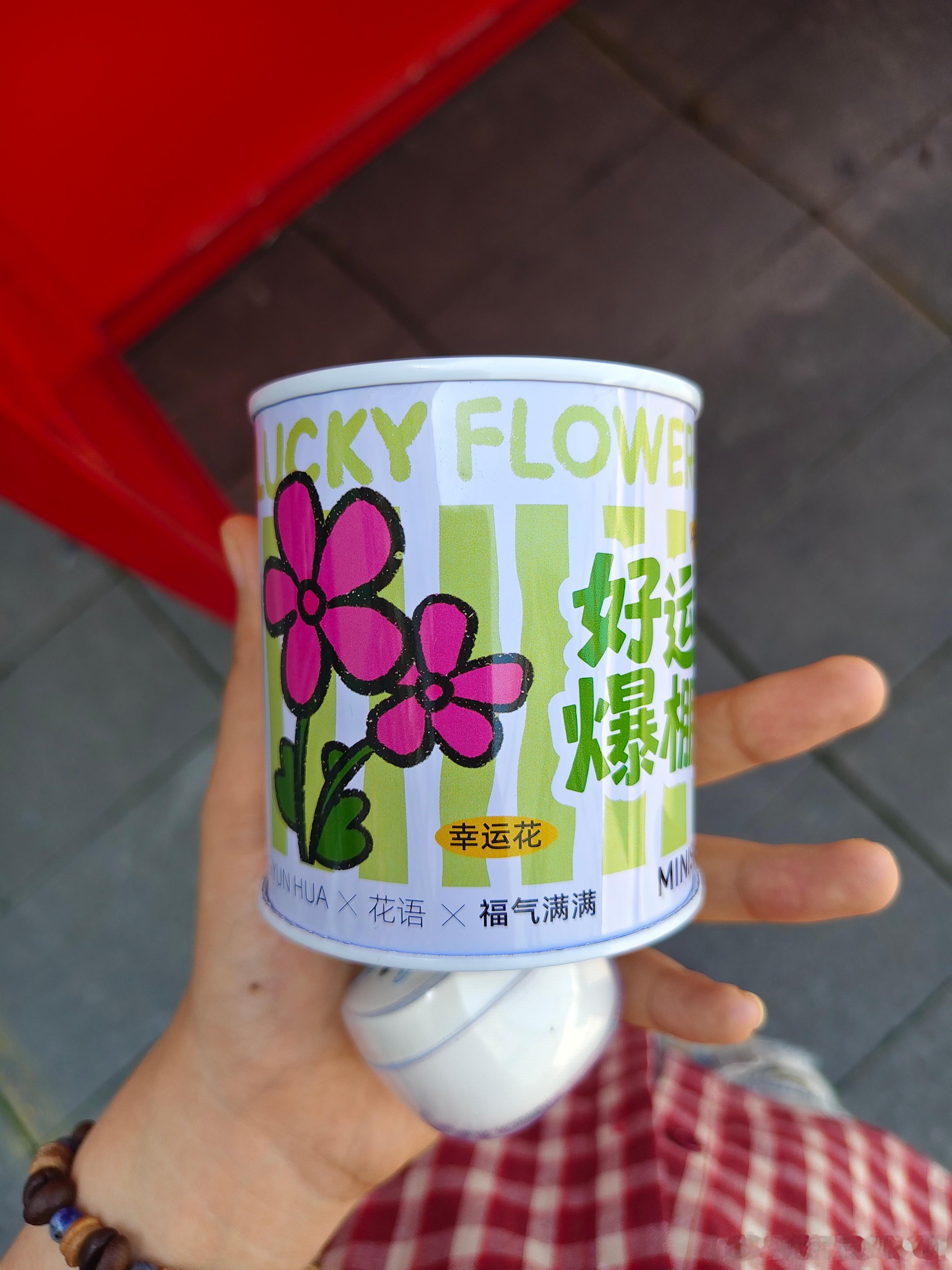 我能种成功吗  感觉种出来也会被我家猫吃了 