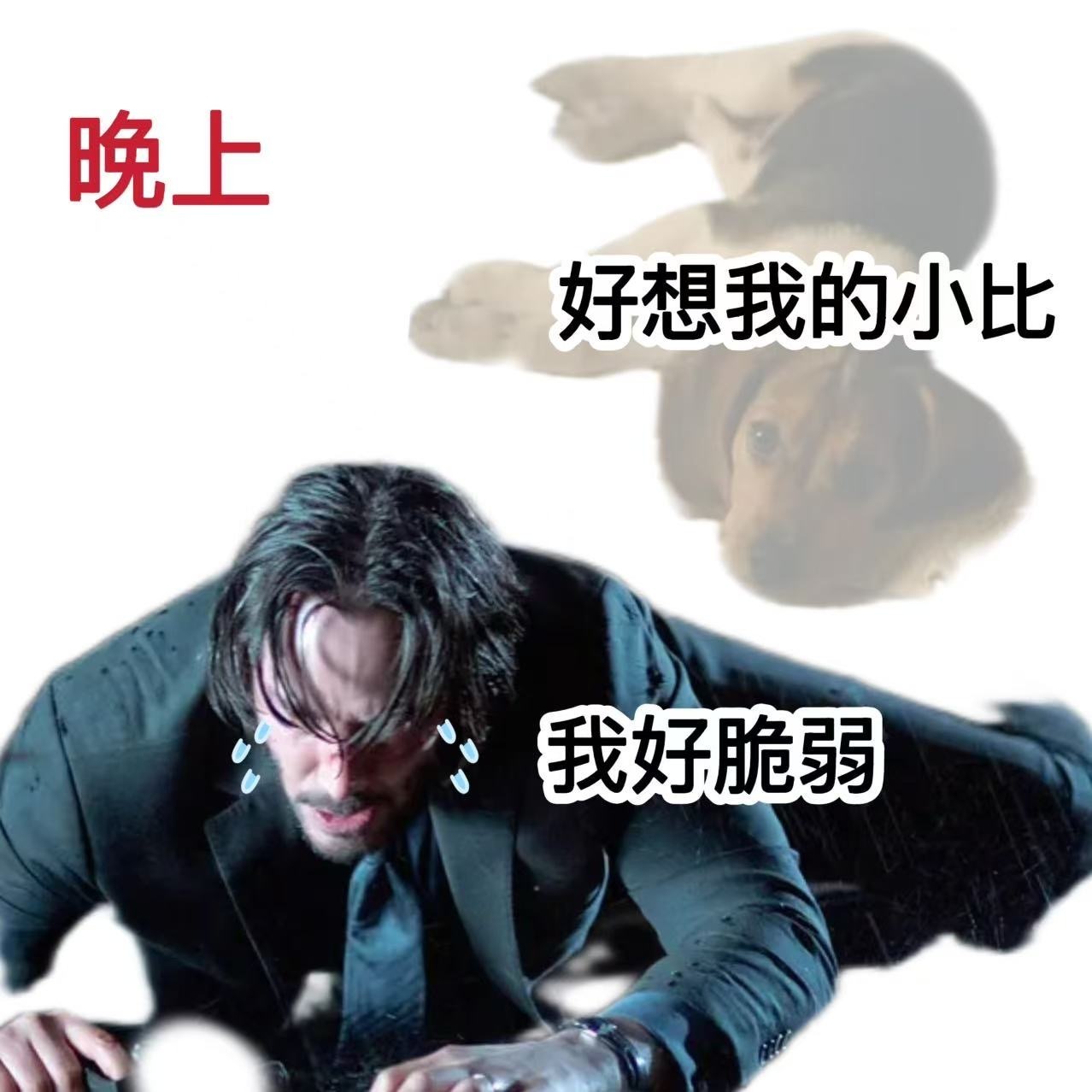 铁血硬汉也会为狗柔情在《疾速追杀》的枪林弹雨里，约翰·威克，这个冷面铁血硬汉，每