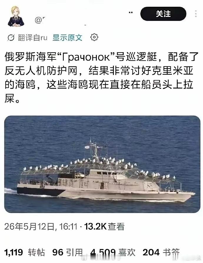 俄罗斯巡逻艇，嗯，全身反无人机罩。 