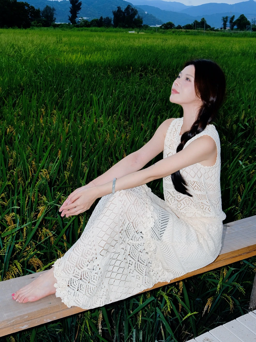夏日稻田日记🌾
