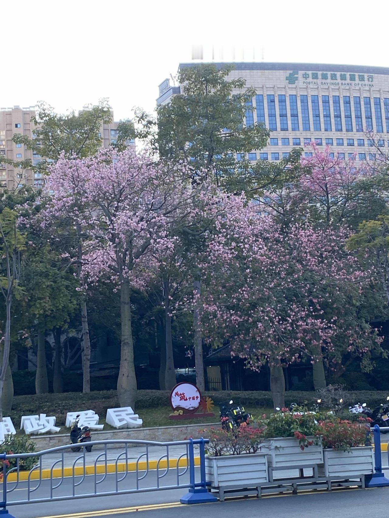 冬至有三大禁忌
你知道吗？这不是迷信，是老祖宗留下来的
今天是冬至，也就是今年的