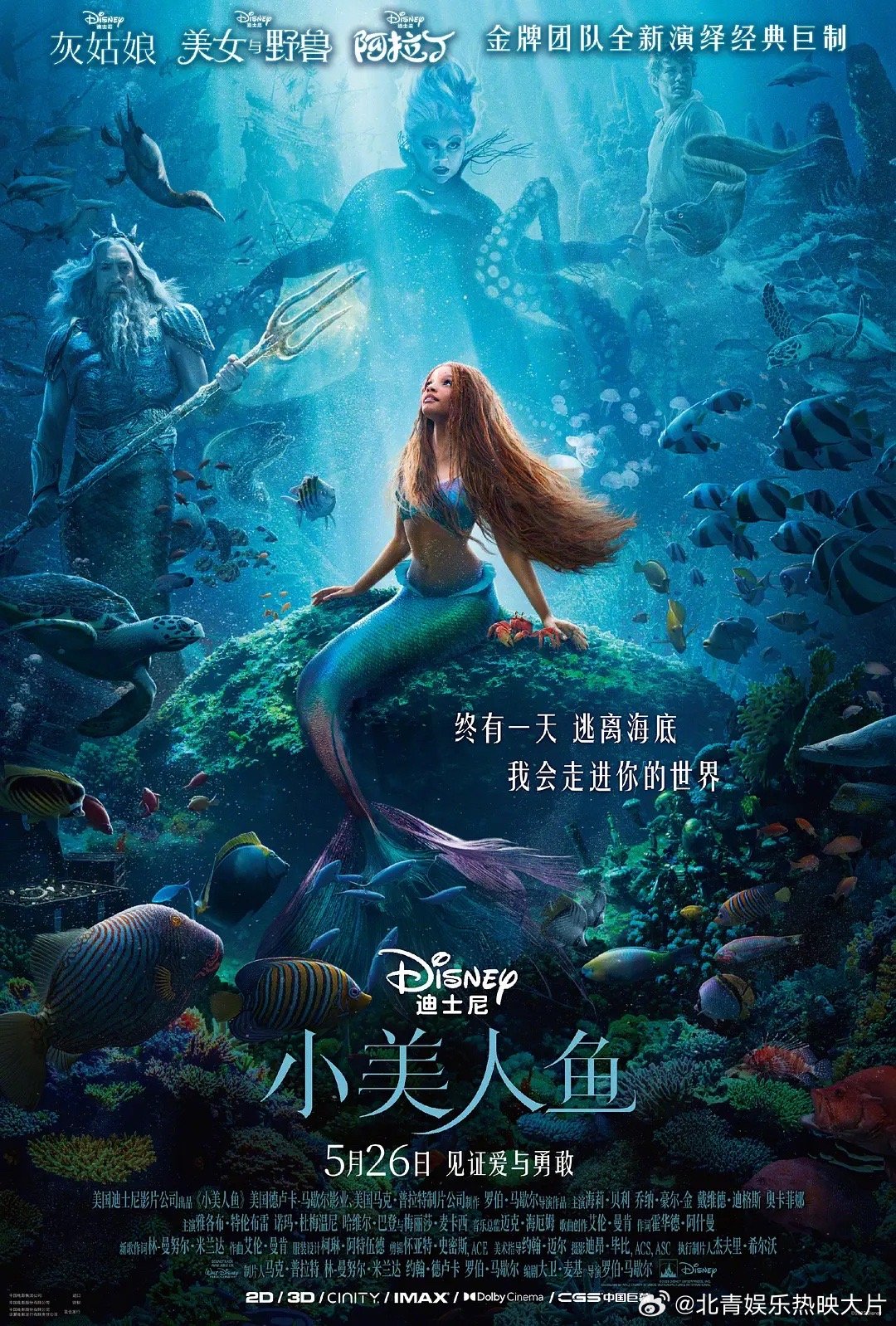 Disney+宣布《小美人鱼》上线5天(9.6开始上线)观看量为1600万，为近
