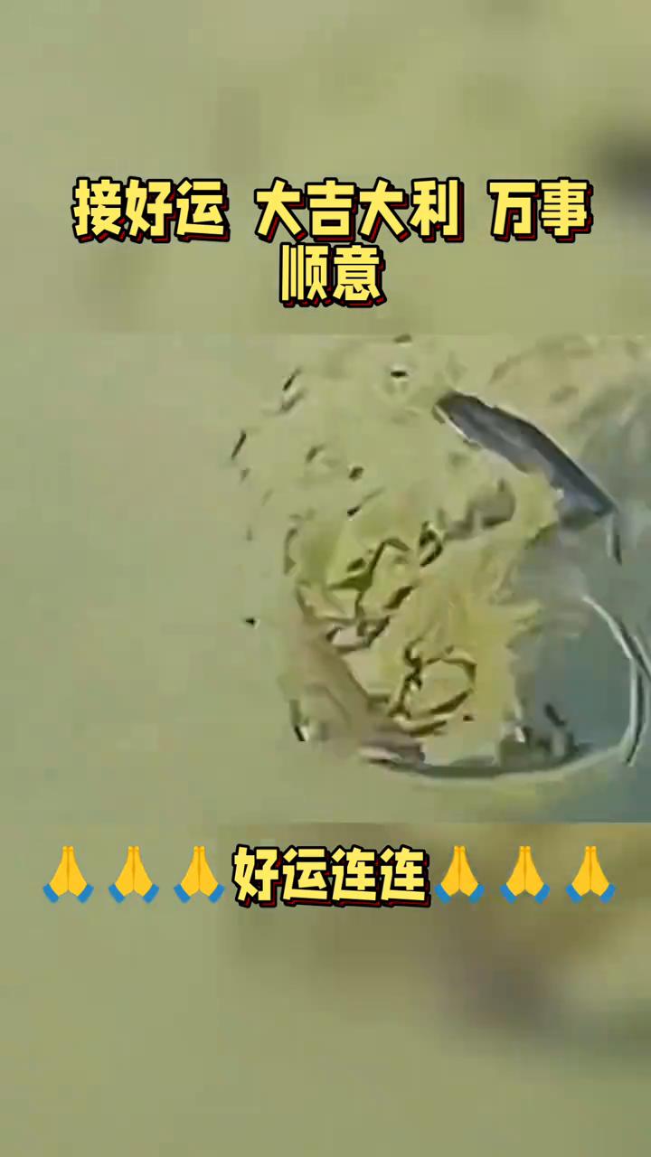 顺意，好运连连，接好运，大吉大利，万事顺意。