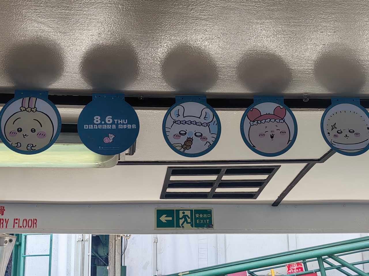 这里面有一只很萌的猪23648 