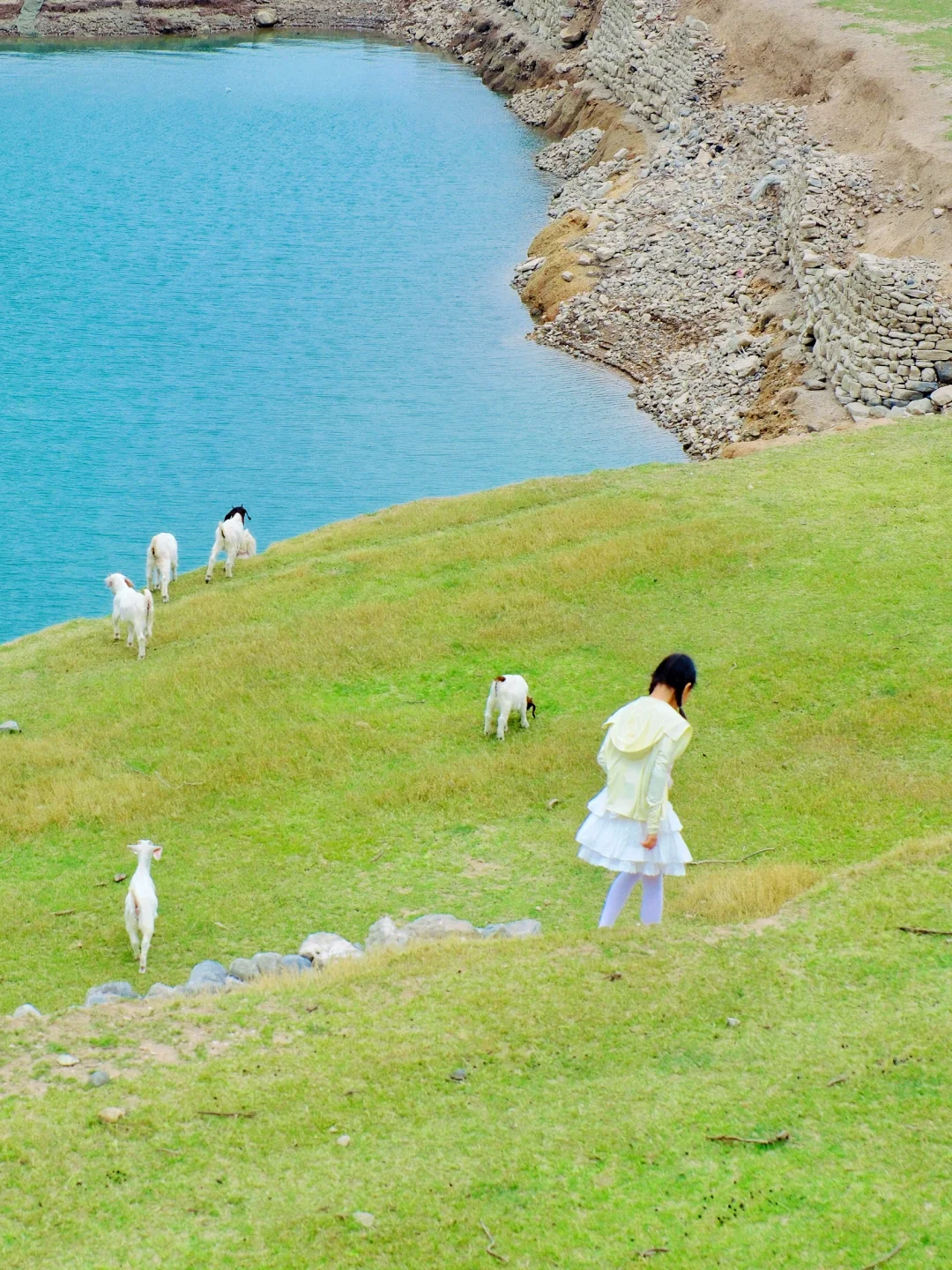 西安出发｜河南 “伊犁” 翡翠河谷轻装露营