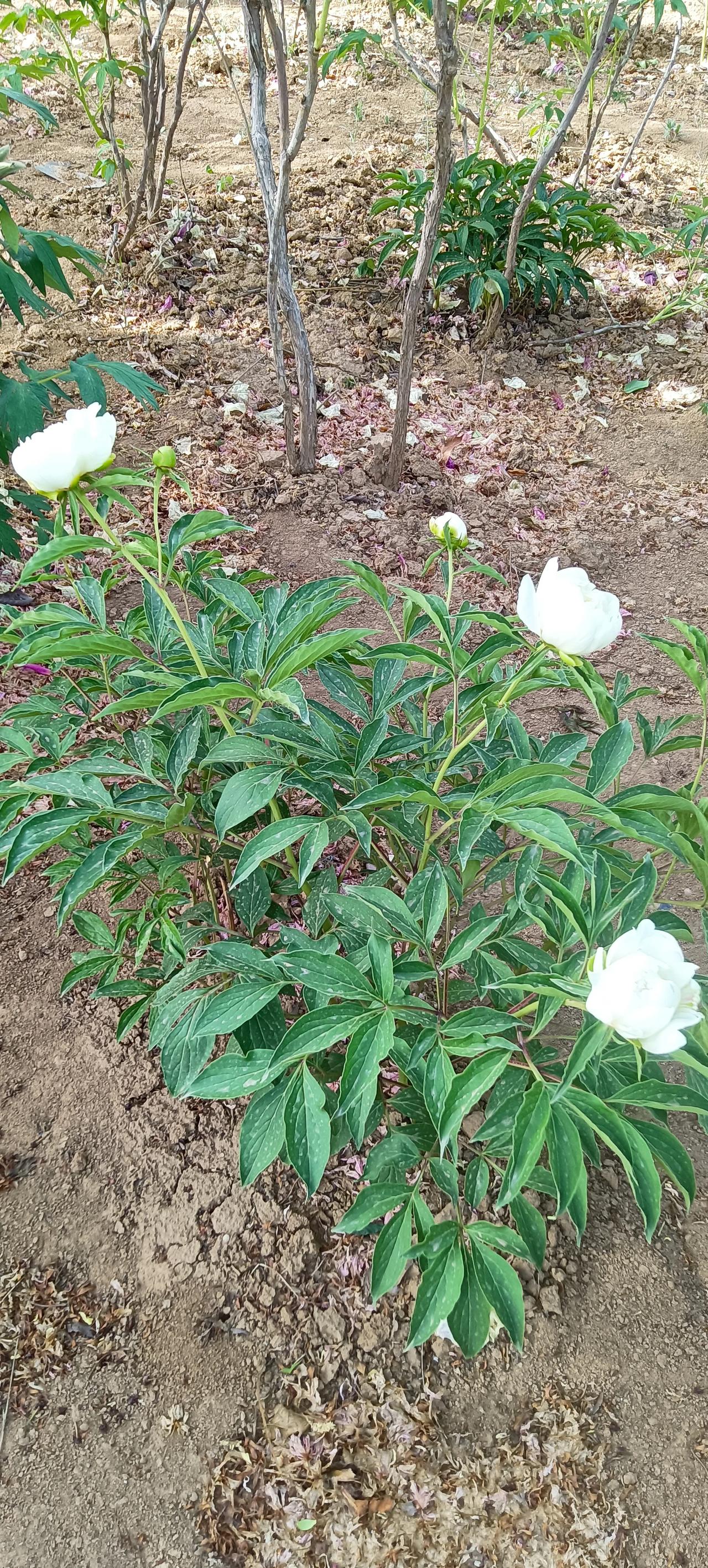 上联：岁月长河风风雨雨，诚邀下联流年幽梦醒醒醉醉
