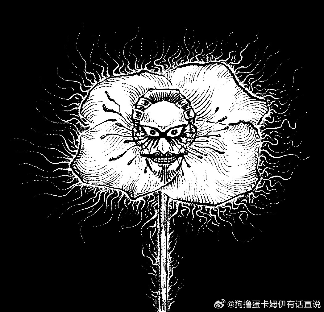 5132【美丽的花献给美丽的人🌹】美丽的花献给美丽的人🌹 
