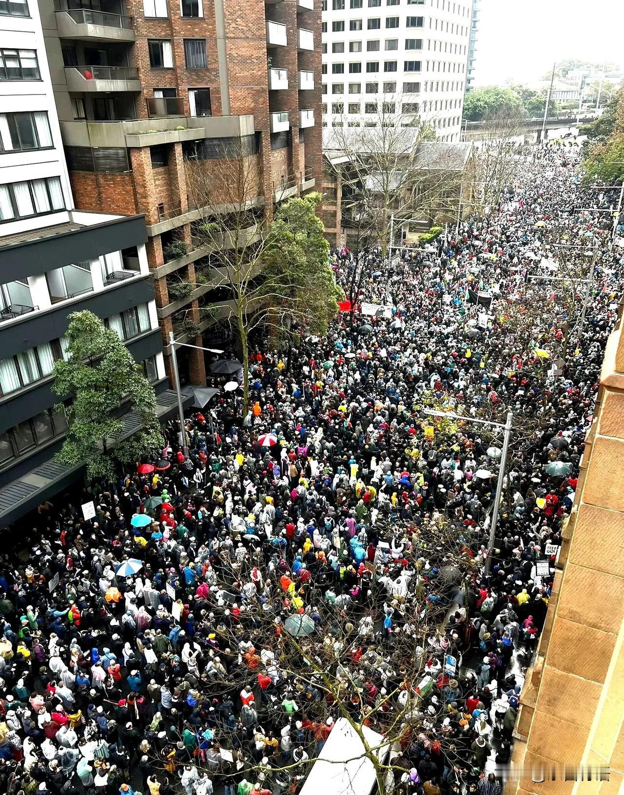 澳大利亚发生大规模游行抗议活动，以反对以色列对加沙地区实施的种族灭绝，以及人为饥