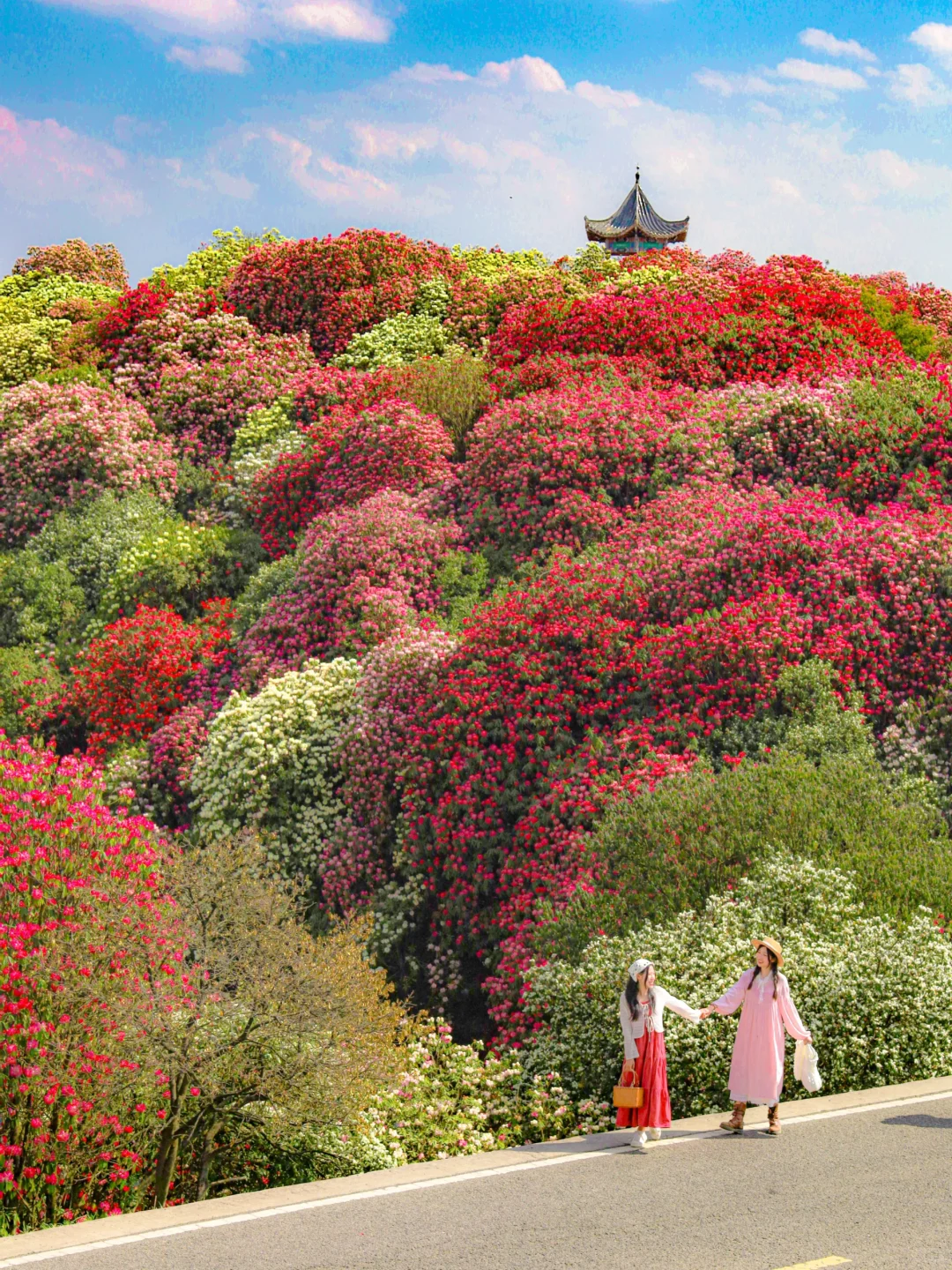 高铁直达‼️被4月漫山花海狠狠惊艳到💐巨美
