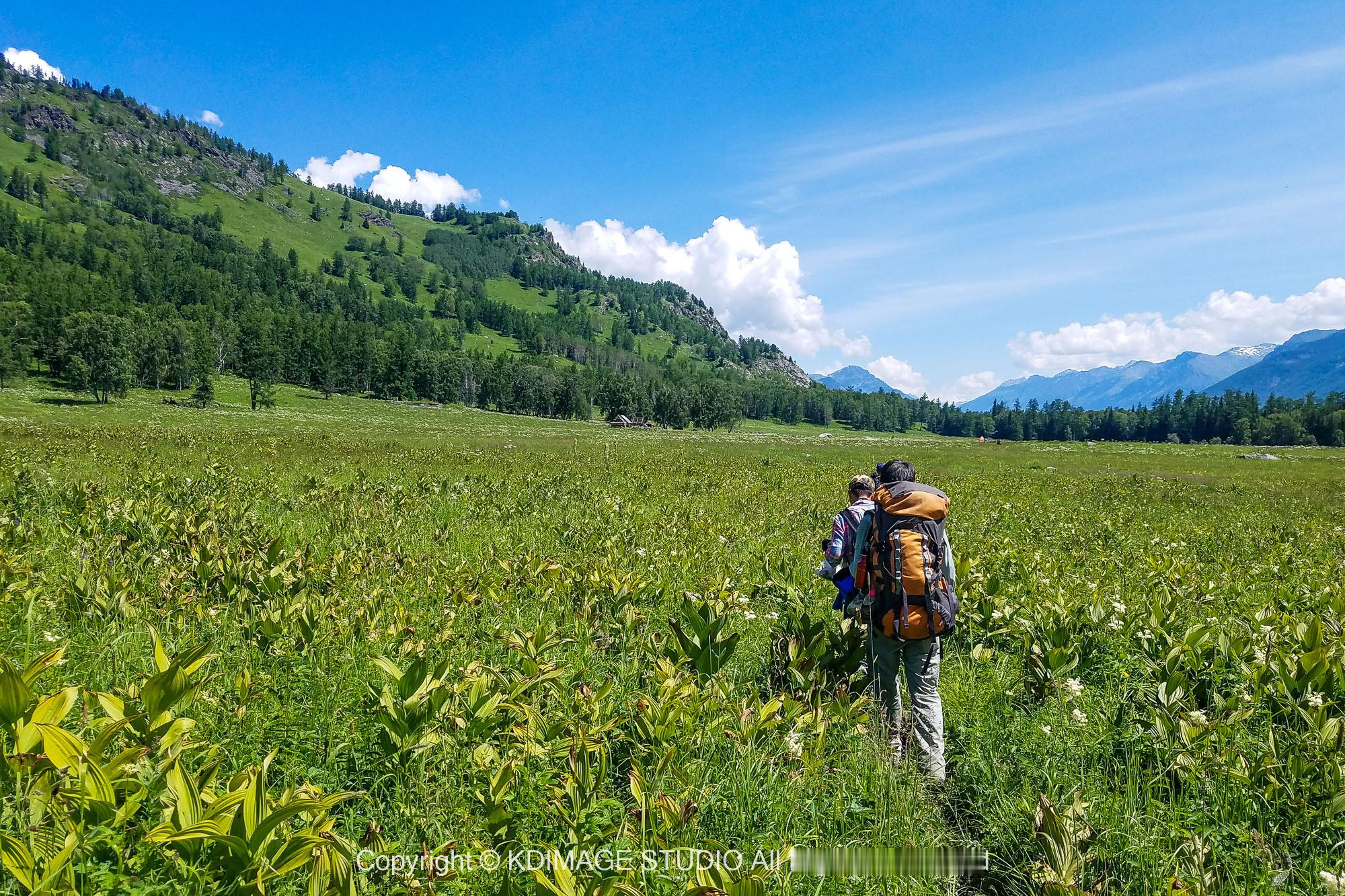 入夏的脚步近了，而我的入夏目标不是盲目追求体脂率上的数字，而是为了即将到来的长线