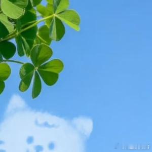 生活手记“努力很难可若不努力就只会一直难。”努力这件事，真的值得好好聊聊周五快乐