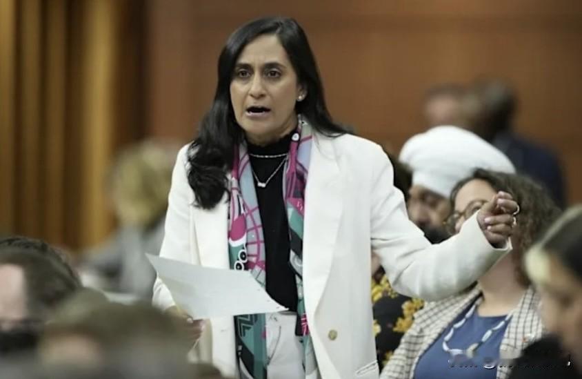 加拿大外长阿南德表示，将会积极参加北约成员国制定的PURL倡议，从美国采购价值2