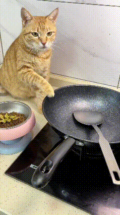 哈哈这只大橘真不一样，笑出眼泪了😂
 
碗里的猫粮摆那儿，香喷喷的，人家连瞅都