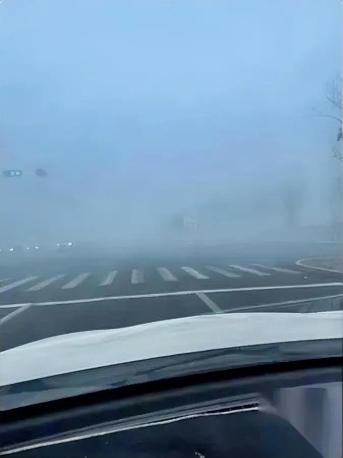 女儿深夜哭着视频

追问后愣在原地

原来是她闺蜜家遇车祸，7口人没了，三大四小