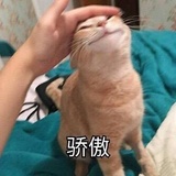 素霜捧科技