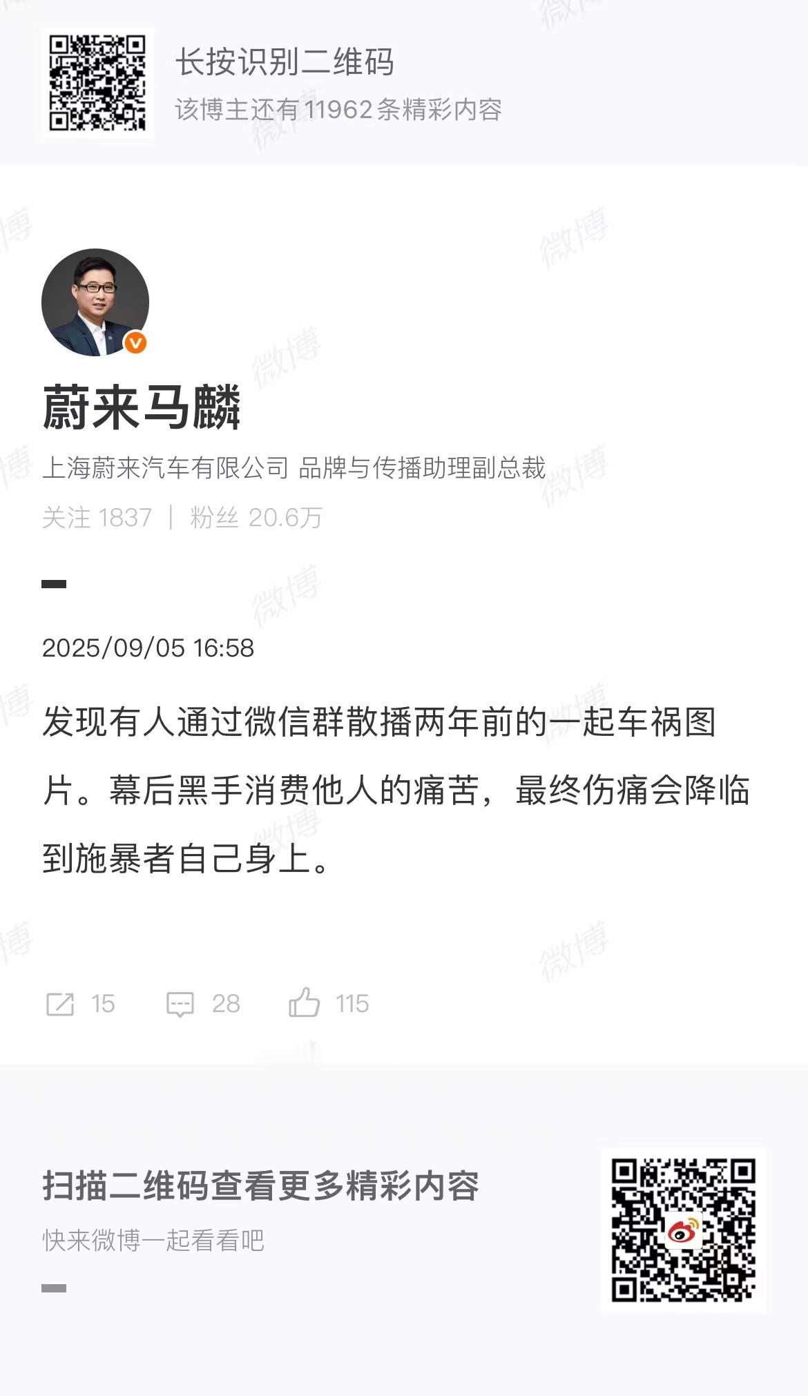 幕后黑手消费他人的痛苦，最终伤痛会降临到施暴者自己身上。商战从未停止，蔚来大卖后