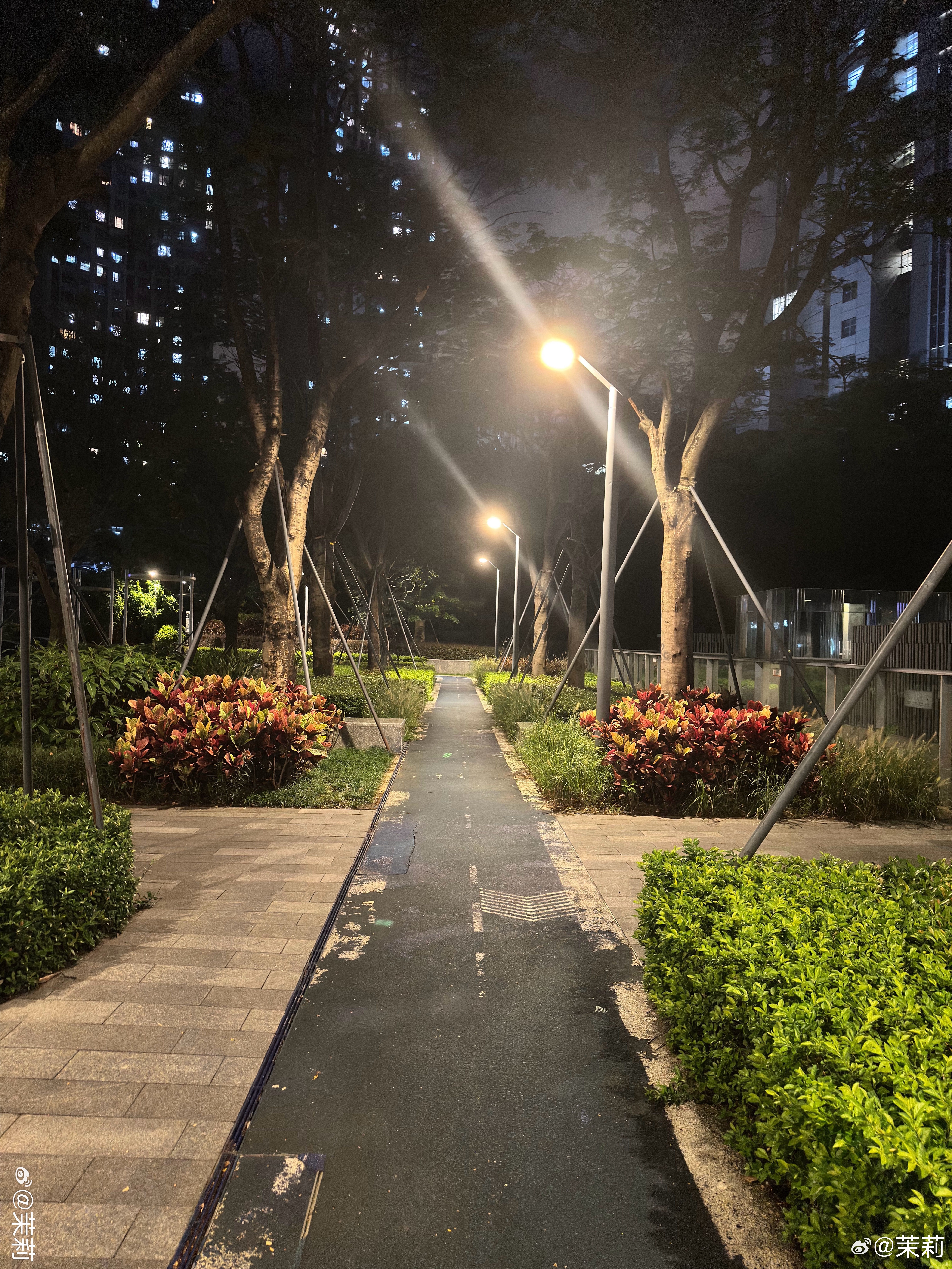 我几乎晚饭后都会在楼下花园活动活动消耗卡路里，但是体重始终很稳定，原因其实我知道