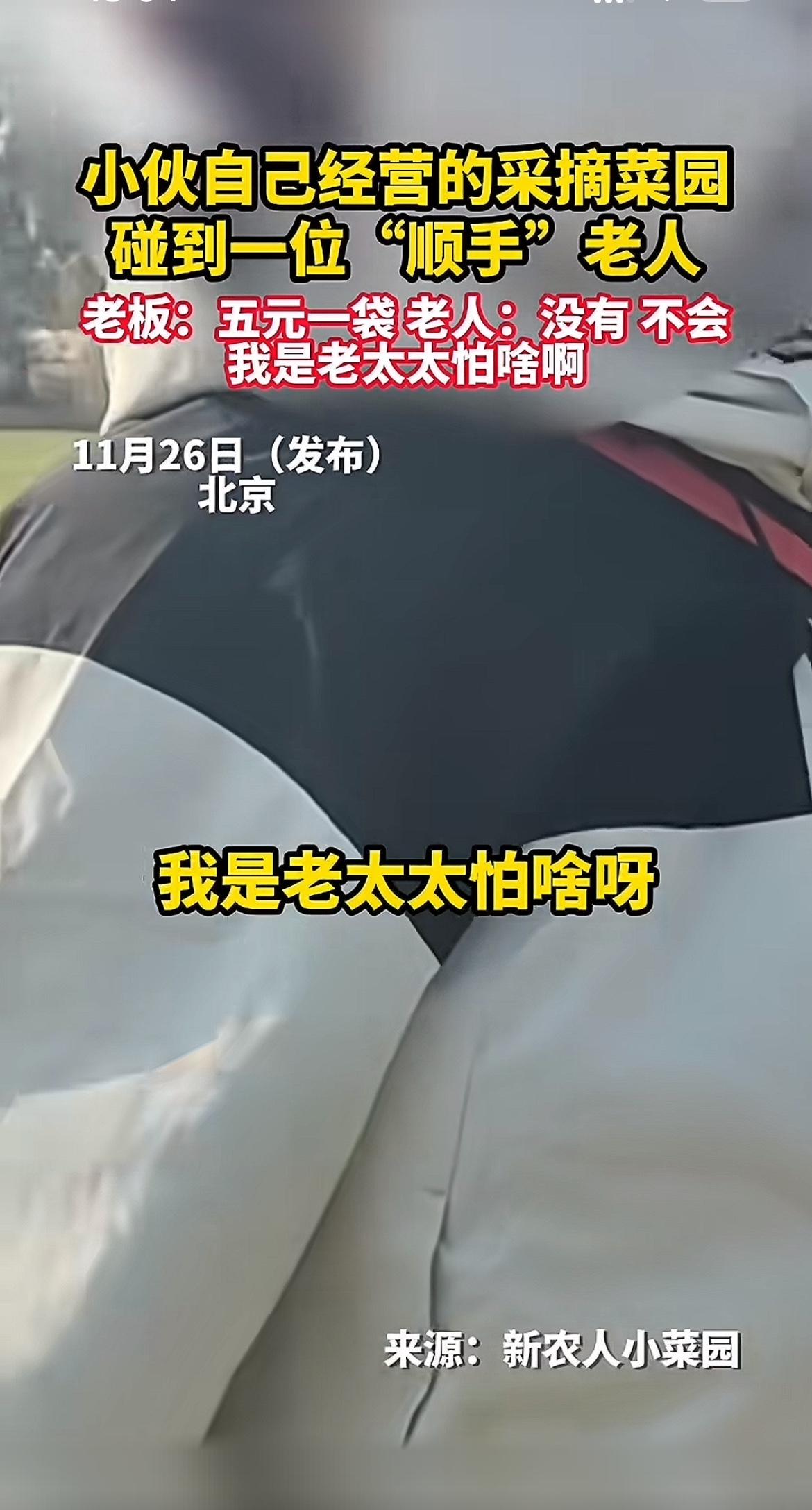 5块钱的菜，照见最丑的“倚老卖老”

11月26日北京顺义一位经营采摘园的小伙发