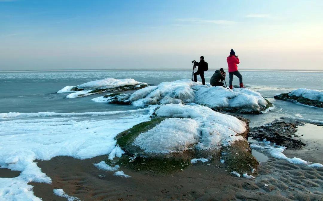 太浪漫了！这个周末，烟台和威海的漫长海岸线成了冬日里的“雪窝子”，一派银装素裹的