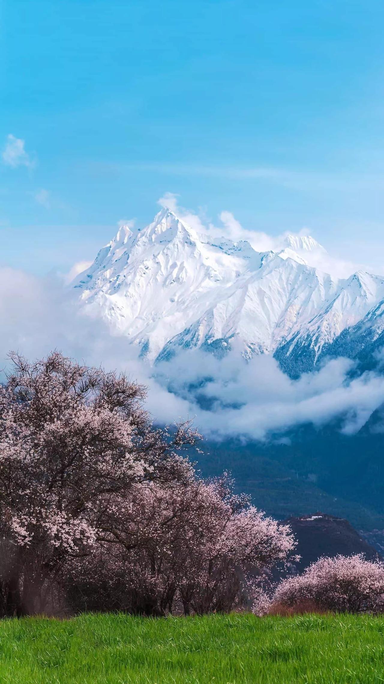 寒冷的冬天，屋檐下挂着晶莹剔透的冰凌，给寂静的寒冬增添了一份别样的美。#翘首期盼