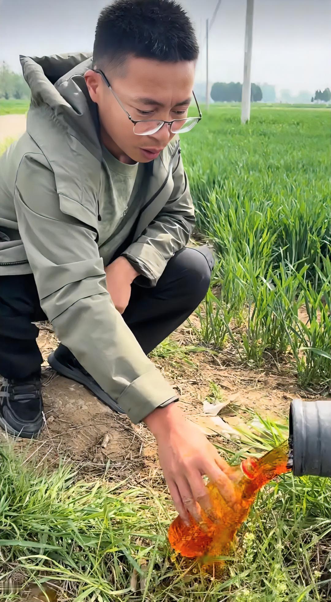 彻底瞒不住了！河北蠡县，地下水变成暗红色，村民含泪用污水浇灌小麦，自己却一口不吃