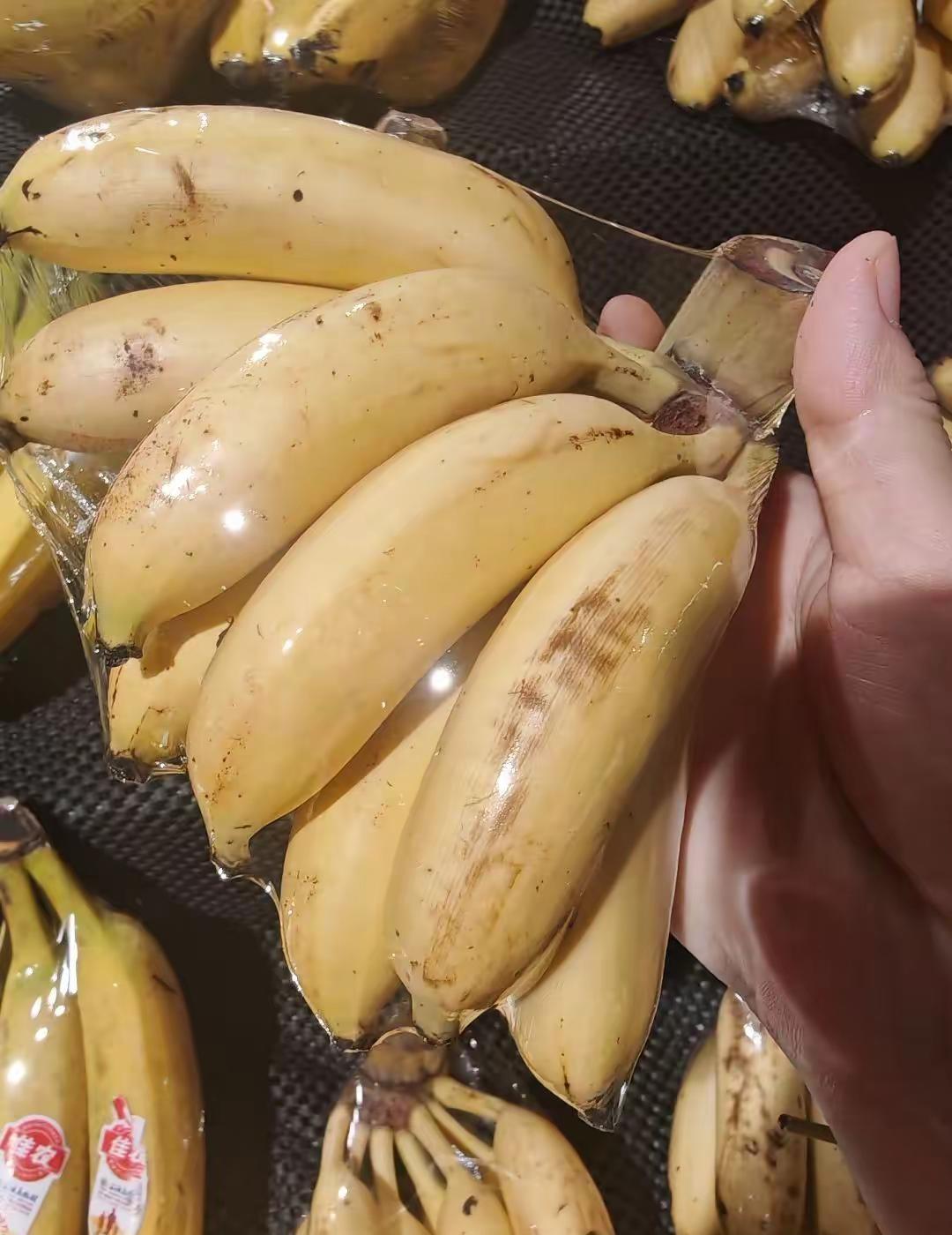 马刺还是太年轻了，关键失误&绝杀不中，马刺主场再负尼克斯  文班亚马错失绝 尼克