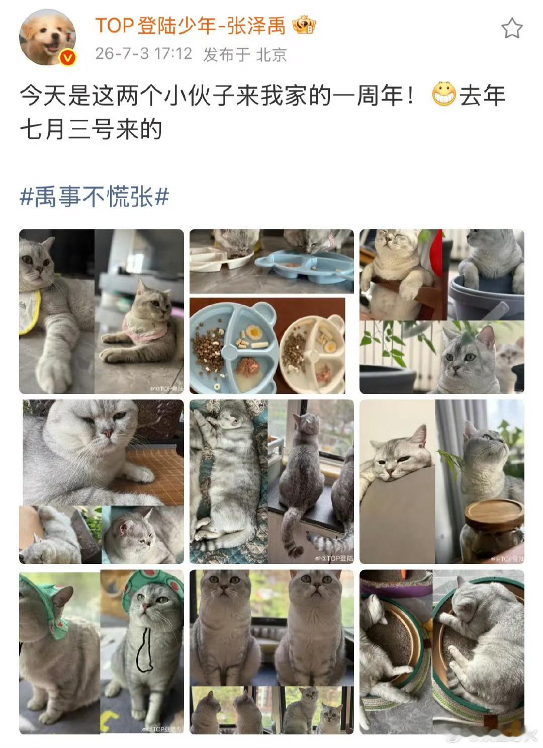 张泽禹一模一样的猫养两只 7月3日，发文纪念养宠一周年，配文“今天是这两个小伙子