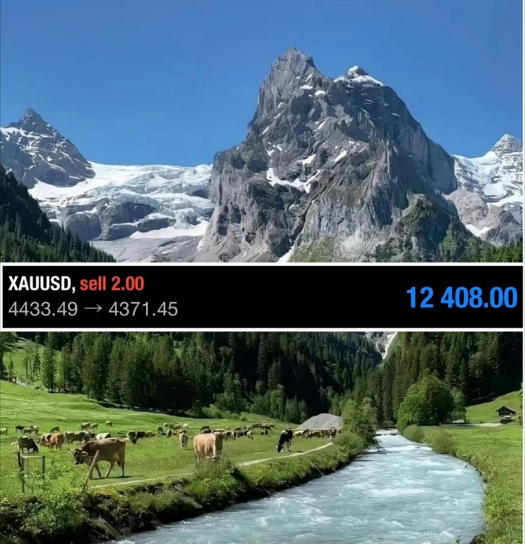 早间空单如期起飞!早间观点提示4438附近滞涨博弈回调，金价冲高4449高点之后