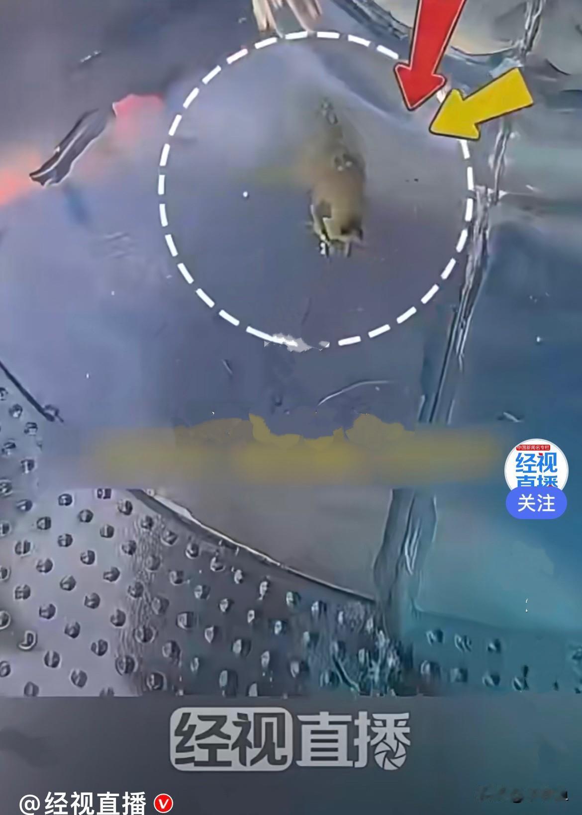 简直离谱到家了！全新未拆封的桶装水，里面赫然泡着一只完整的蚂蚱！这还不是最气的，