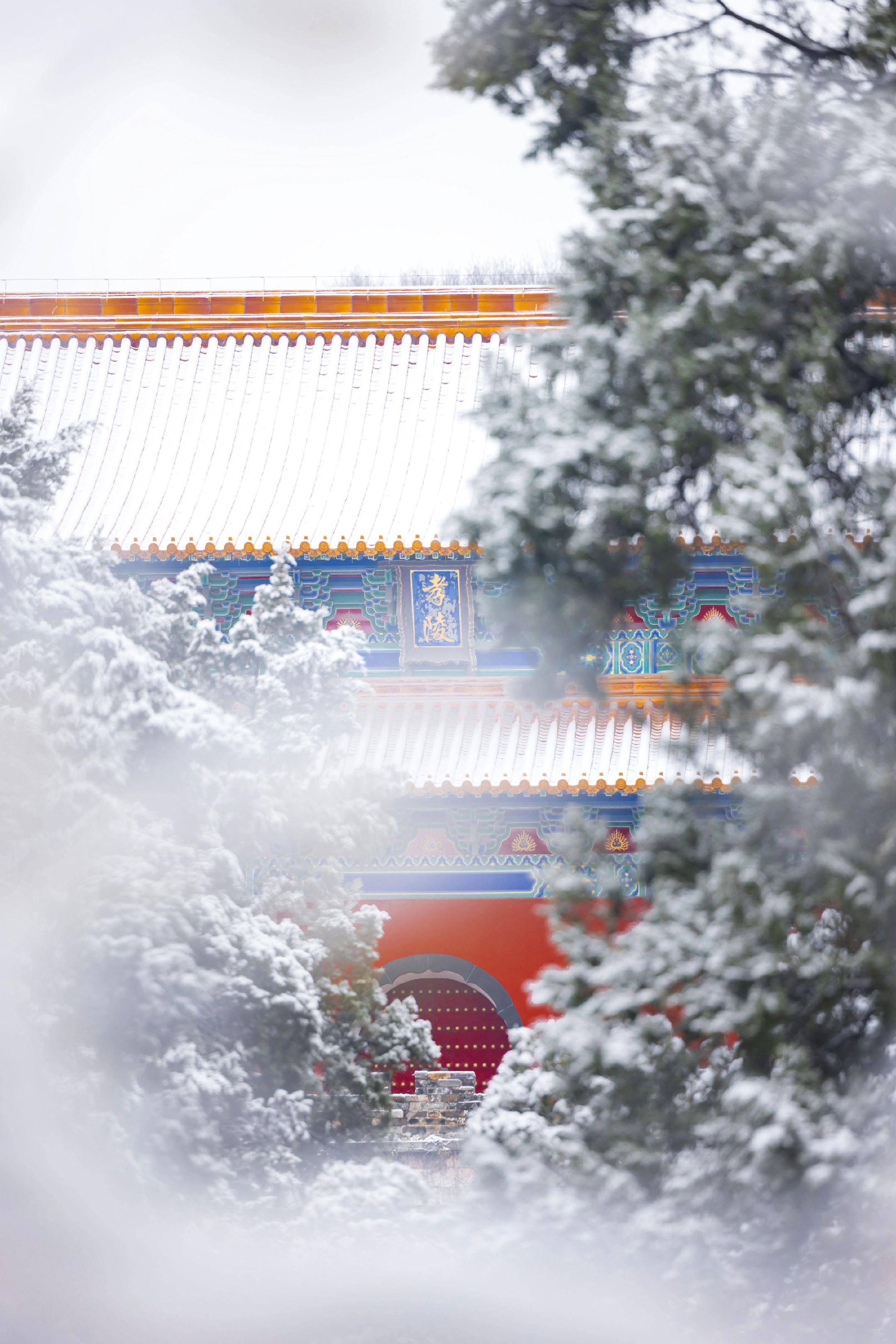 今年冬天一起去南京明孝陵看雪吧。