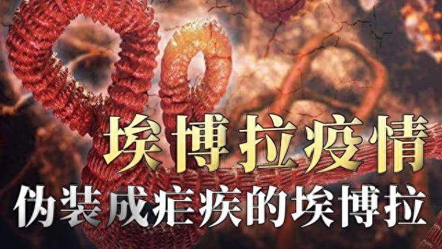 双重警报拉响！两场海外烈性传染病风波，给世界防疫敲醒警钟
