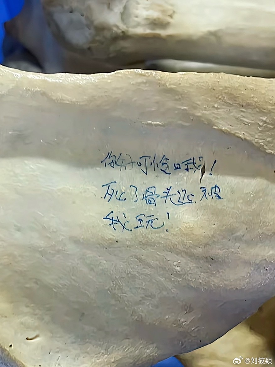 🌿医学生在大体老师骨骼上写轻浮文字🌿国医的精诚力量 🌿          