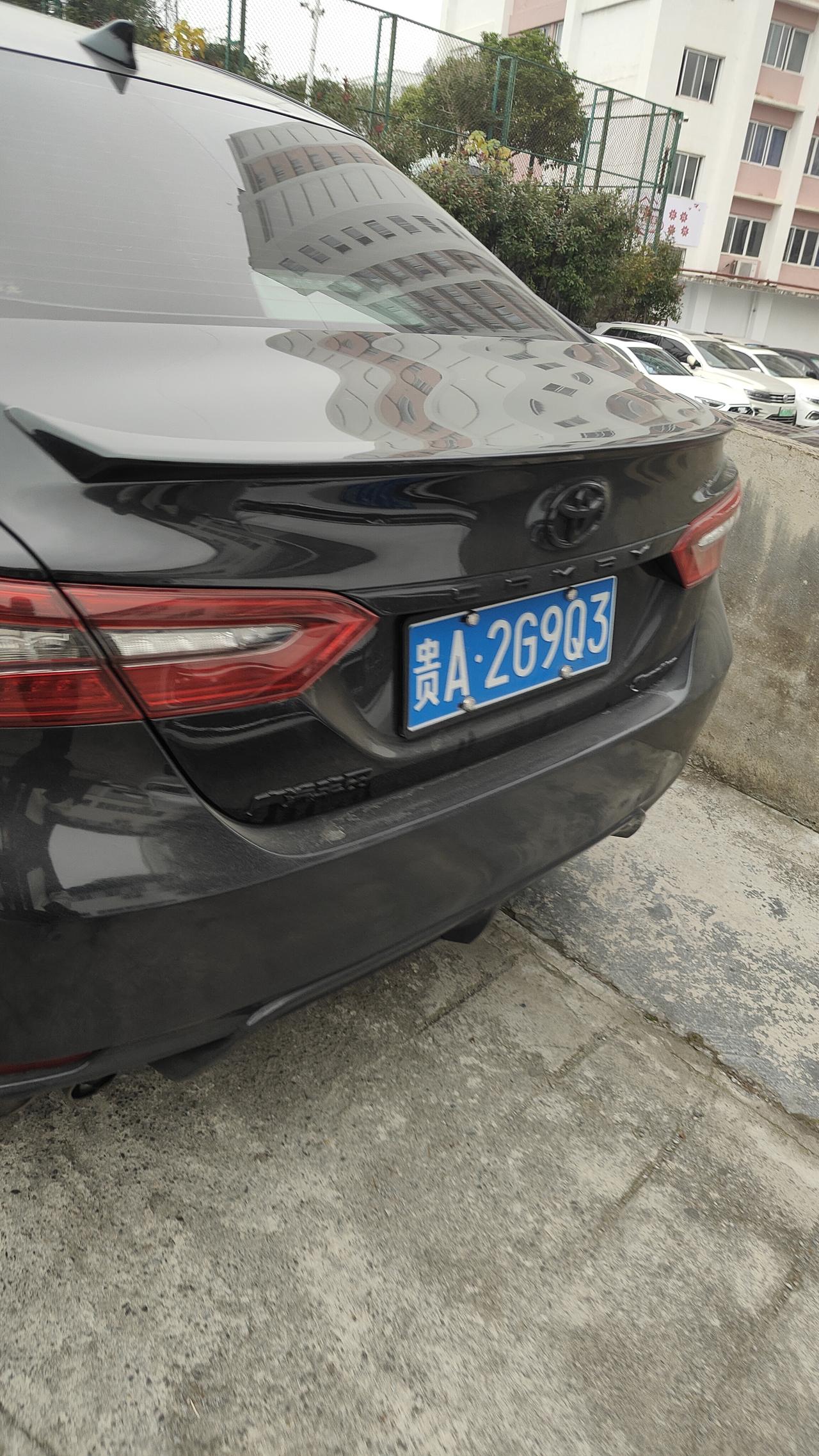 黑标丰田你们见过没有