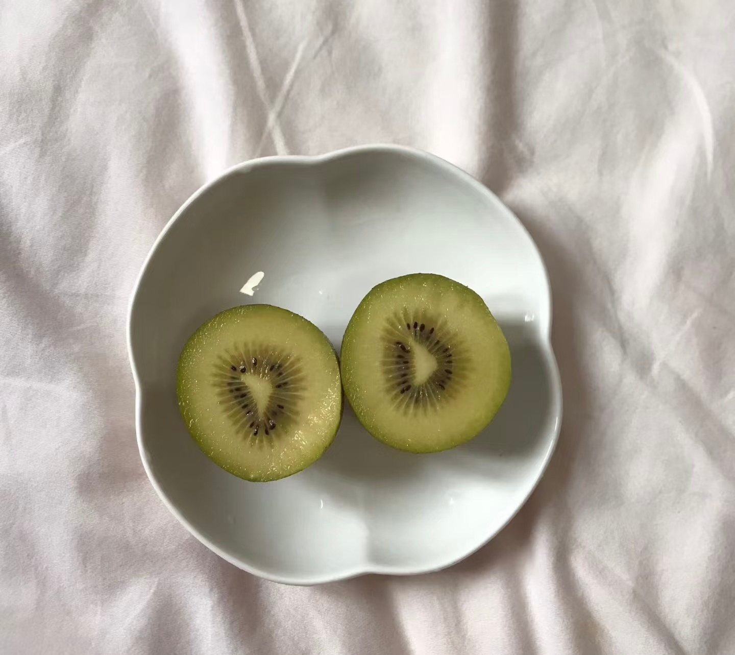 🍎🍏🍑🥝 