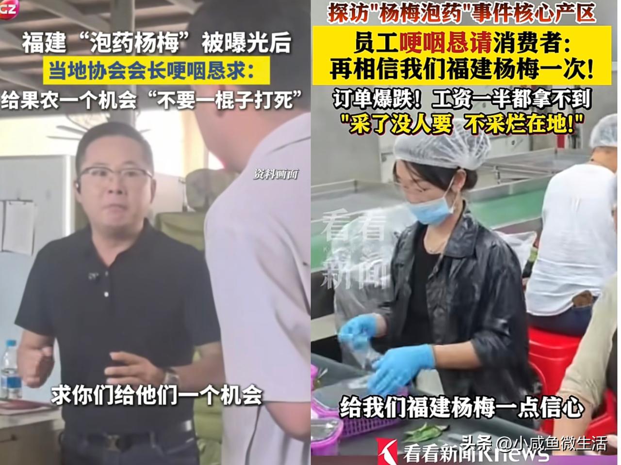 “杨梅泡药”你真不能怪消费者一刀切！

好跟不好这个事，不是你一个两关能出来哭诉