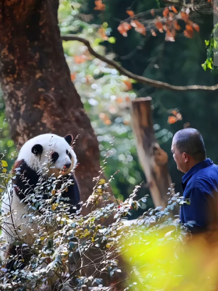 满眼都是爷爷