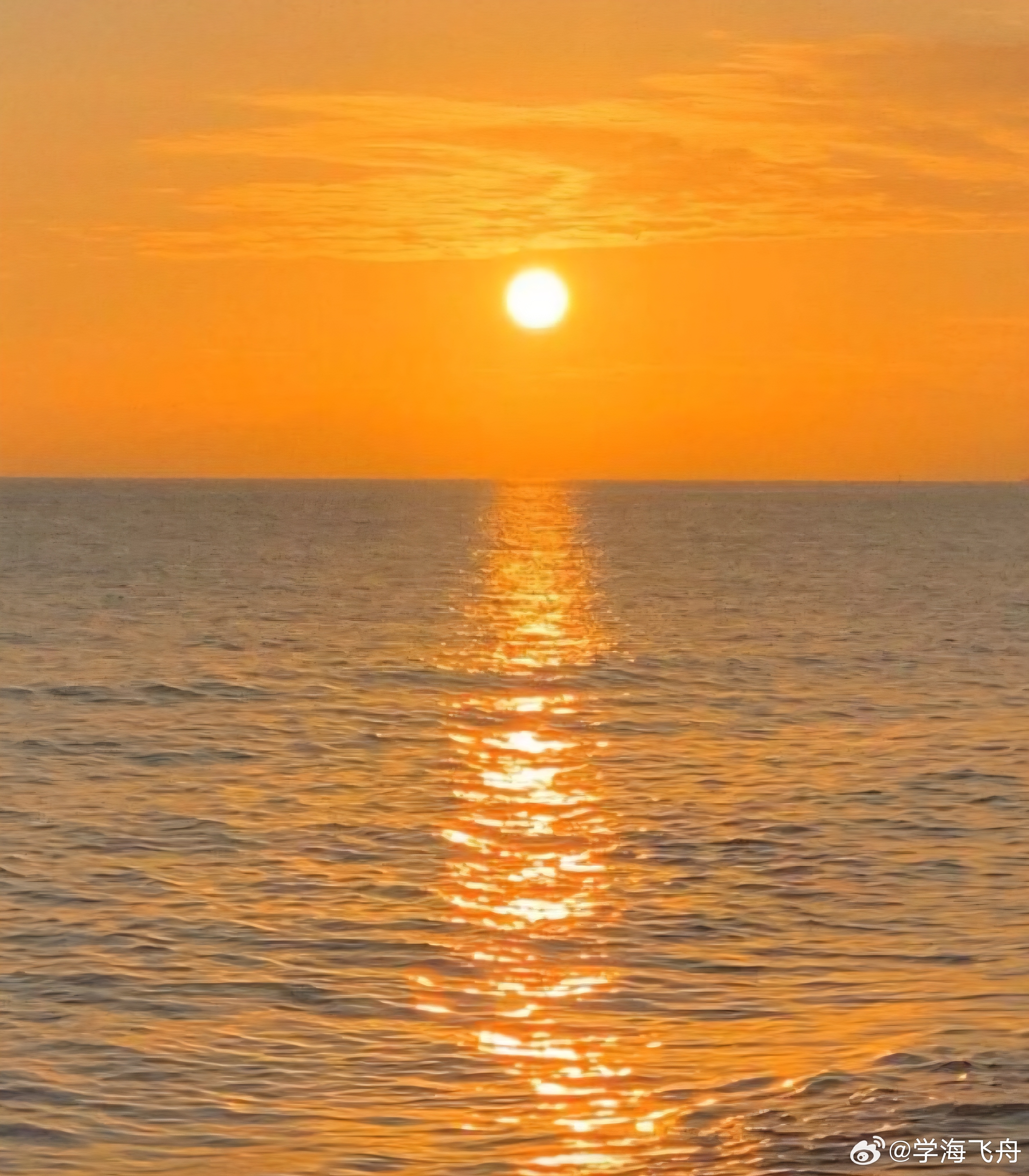 今天A 股大盘走势修复性反弹：东方财富App显示的10项指数全体上涨收红，其中有