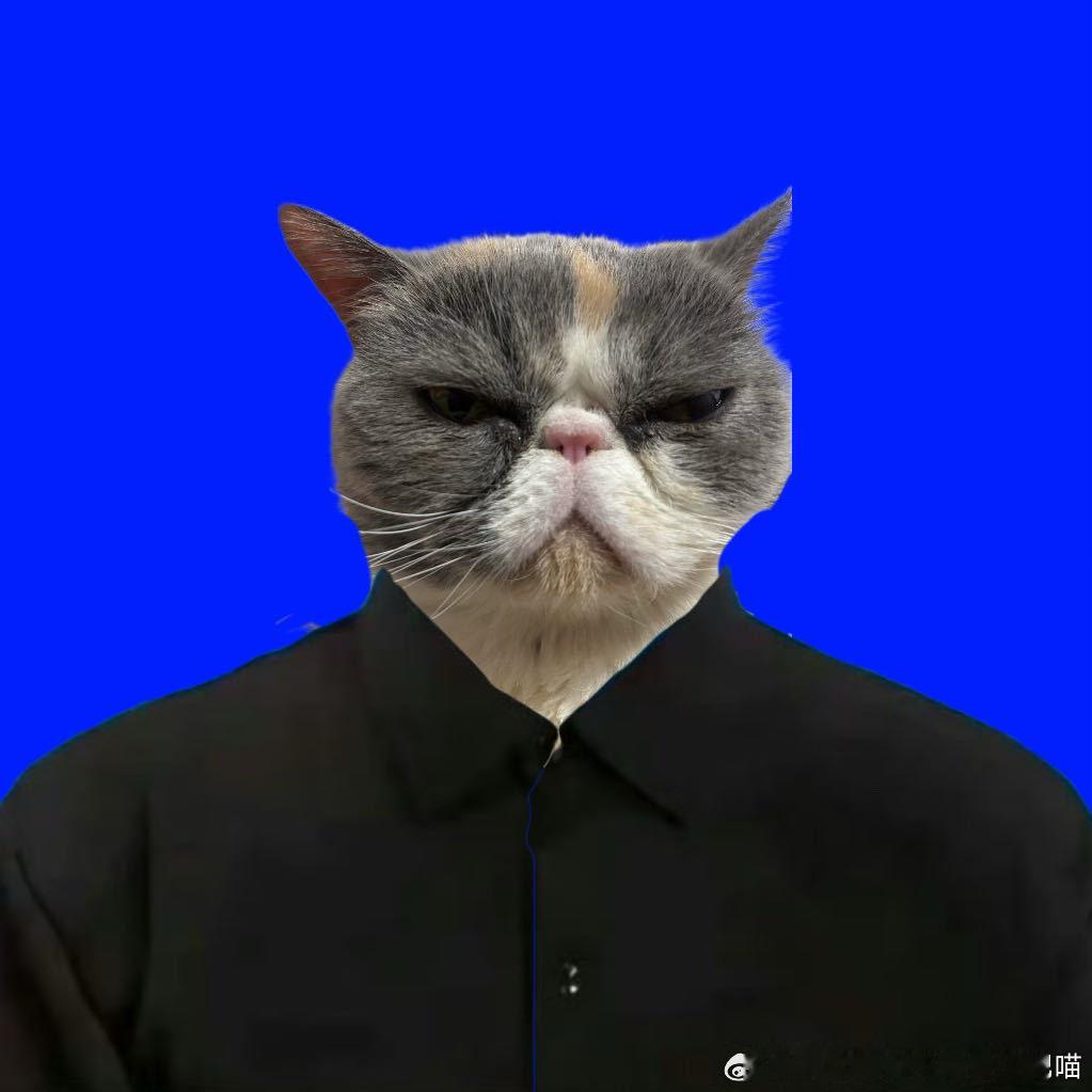 49037【丑猫】双开门大冰箱 