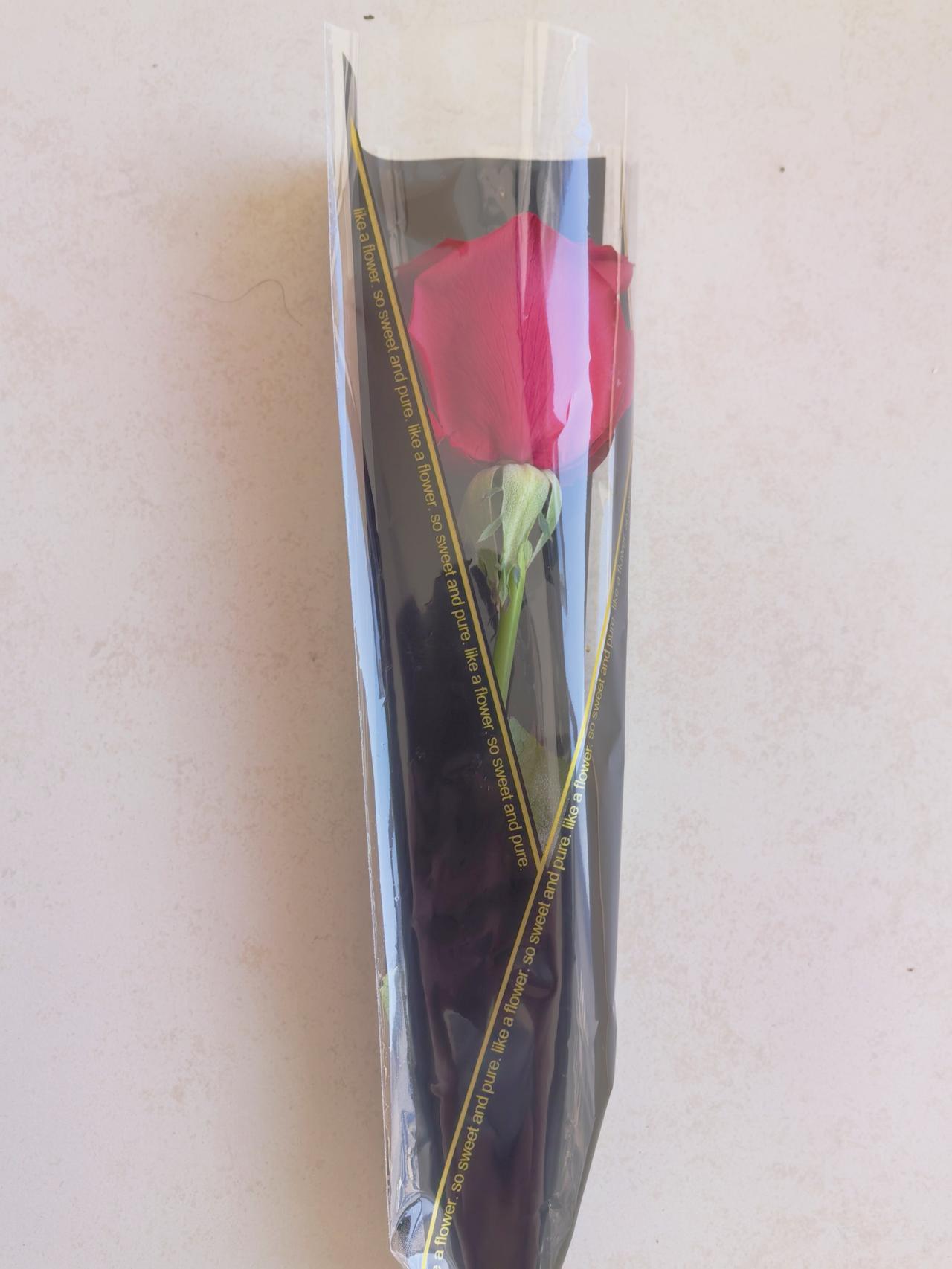 天南地北大拜年