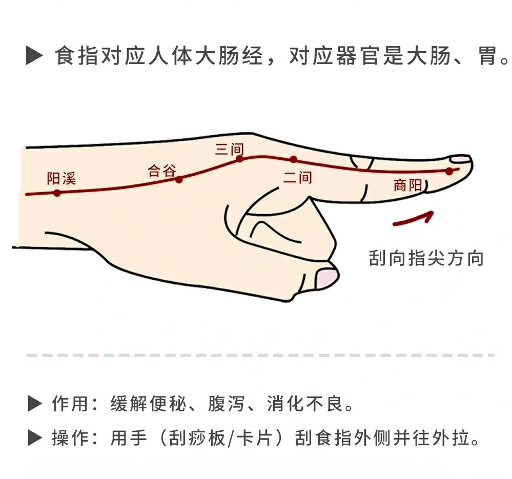 刮食指能治便秘和痔疮的其中秘密就是:从手指根刮到指尖，实际上就是刮大肠经上的商阳