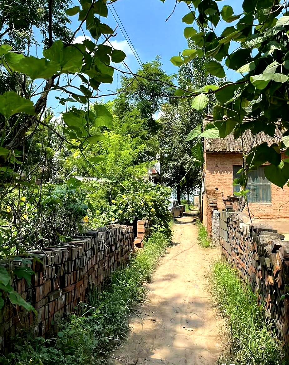 傍晚风凉，58岁的三叔拖着两只旧箱子回到村口，白发乱成一团，背都驼了。
进院坐台