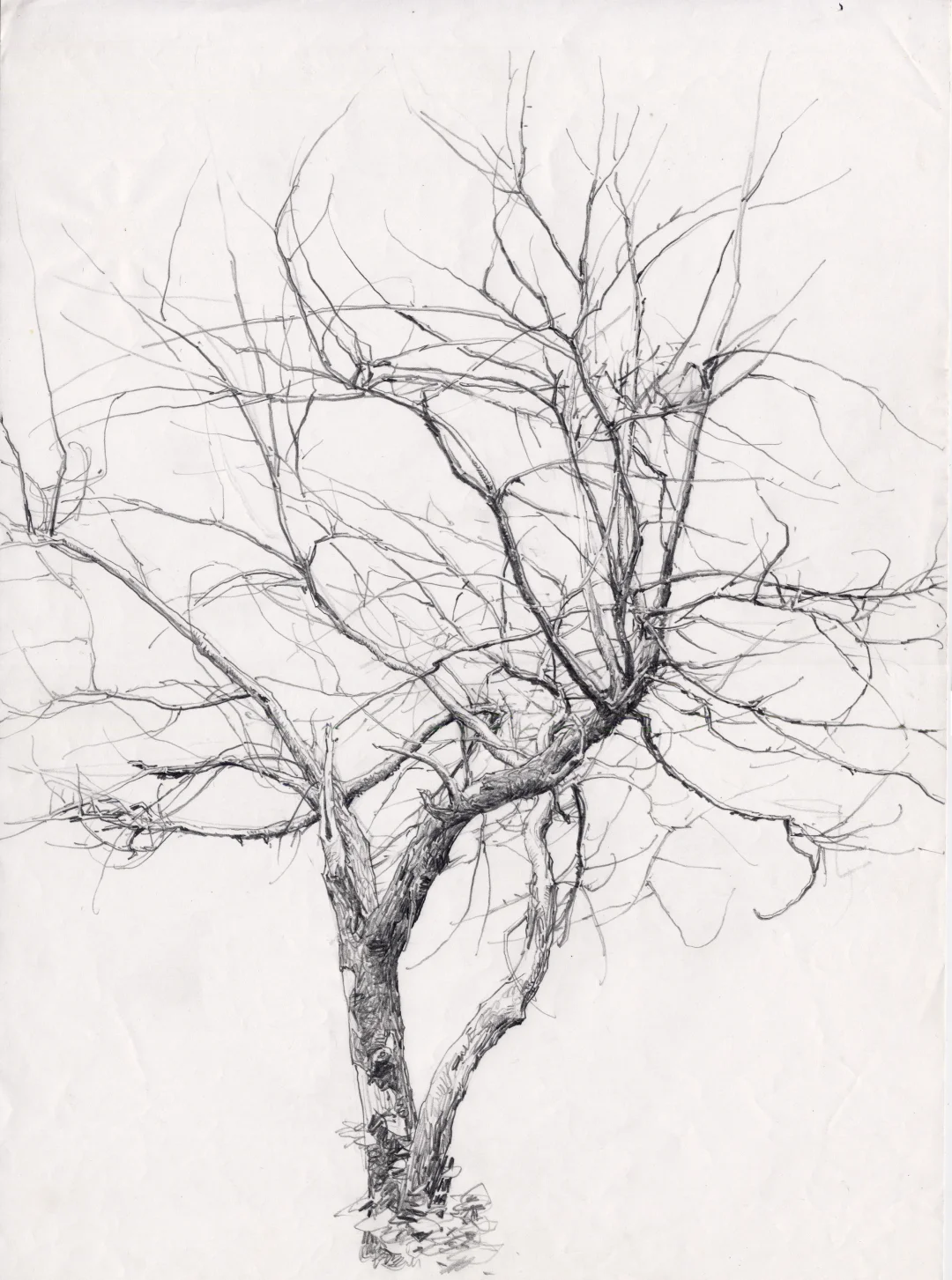 素描展连载之最终章：风景素描
