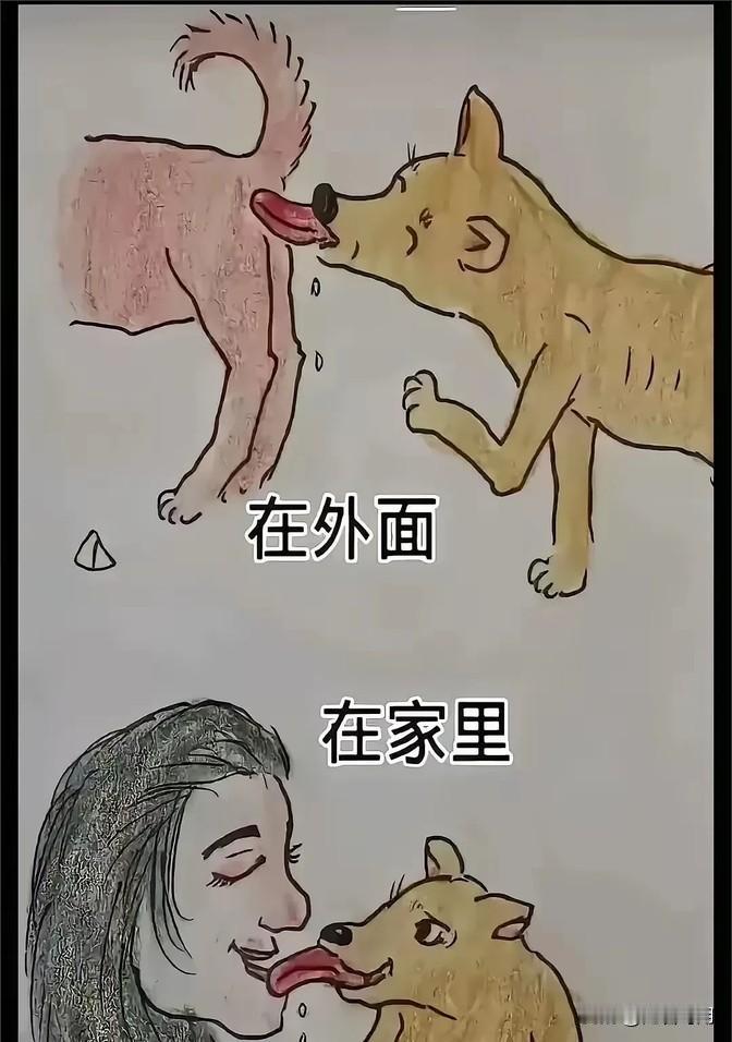 看到这条狗，养狗的朋友们估计得惊掉下巴。这狗不简单，它表现出来的聪明劲儿让人刮目