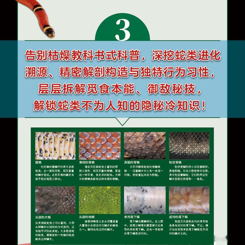知書club 新书介绍丨蛇是自然界中一类不可思议的动物。本书充满了富有冲击力、激